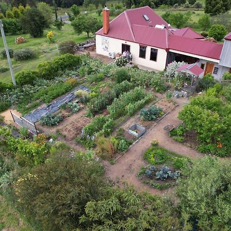 Cherry Top Farmstay - Boutique Eco Village Lilydale Ngoại thất bức ảnh