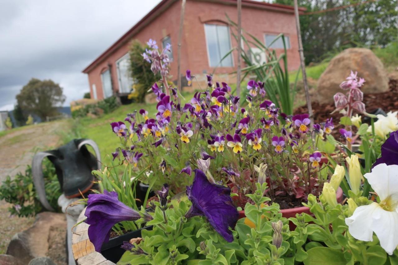 Cherry Top Farmstay - Boutique Eco Village Lilydale Ngoại thất bức ảnh