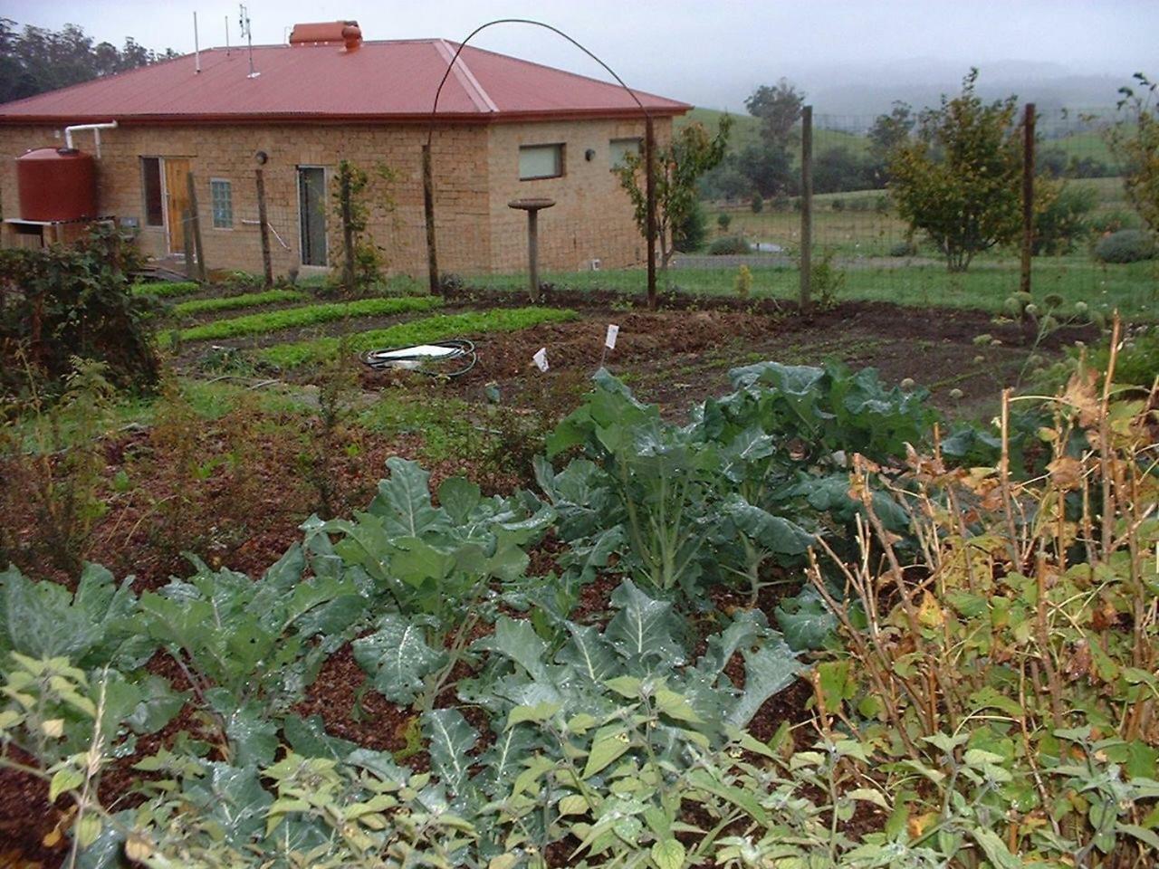 Cherry Top Farmstay - Boutique Eco Village Lilydale Ngoại thất bức ảnh