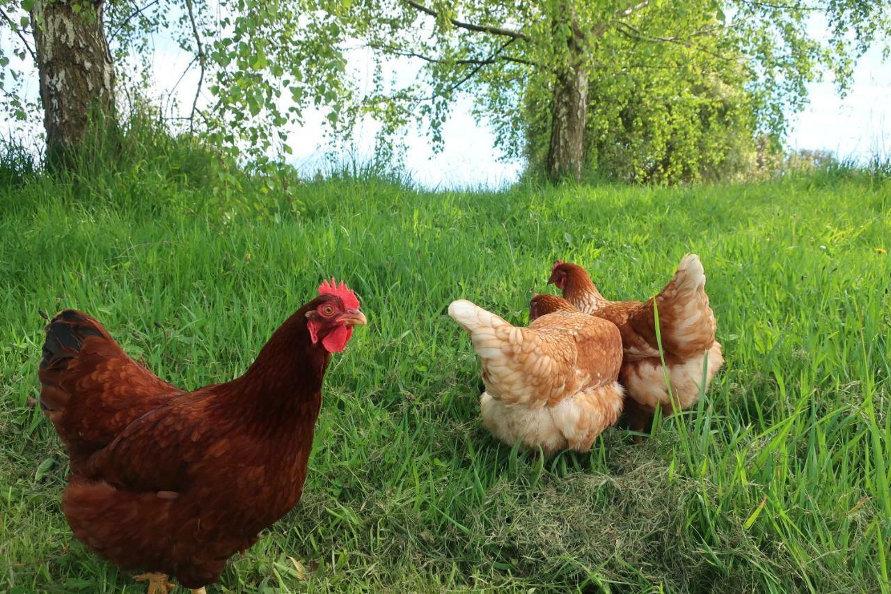 Cherry Top Farmstay - Boutique Eco Village Lilydale Ngoại thất bức ảnh